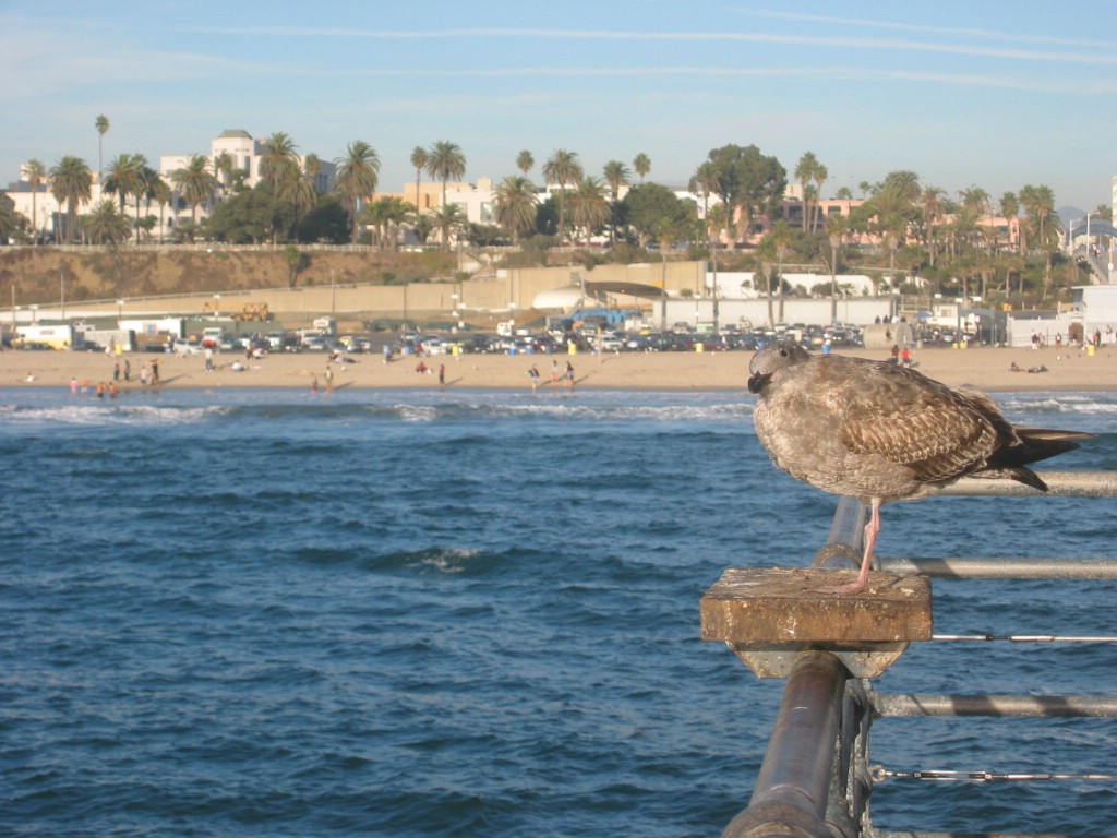 img_1271.jpg