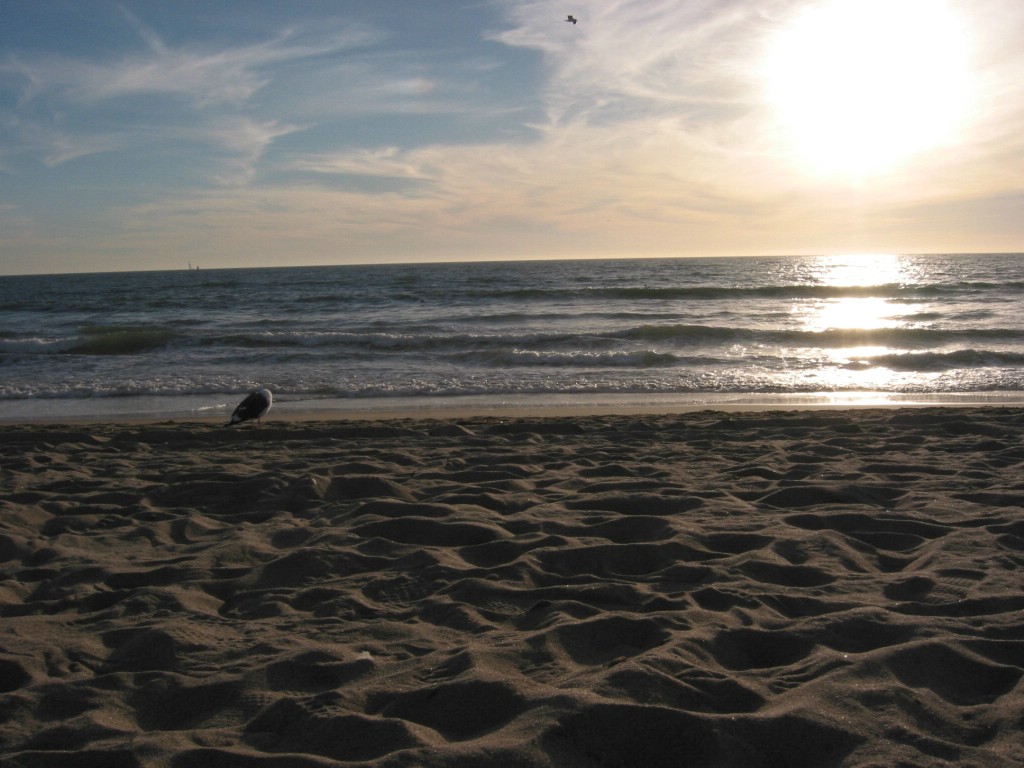 img_1290.jpg