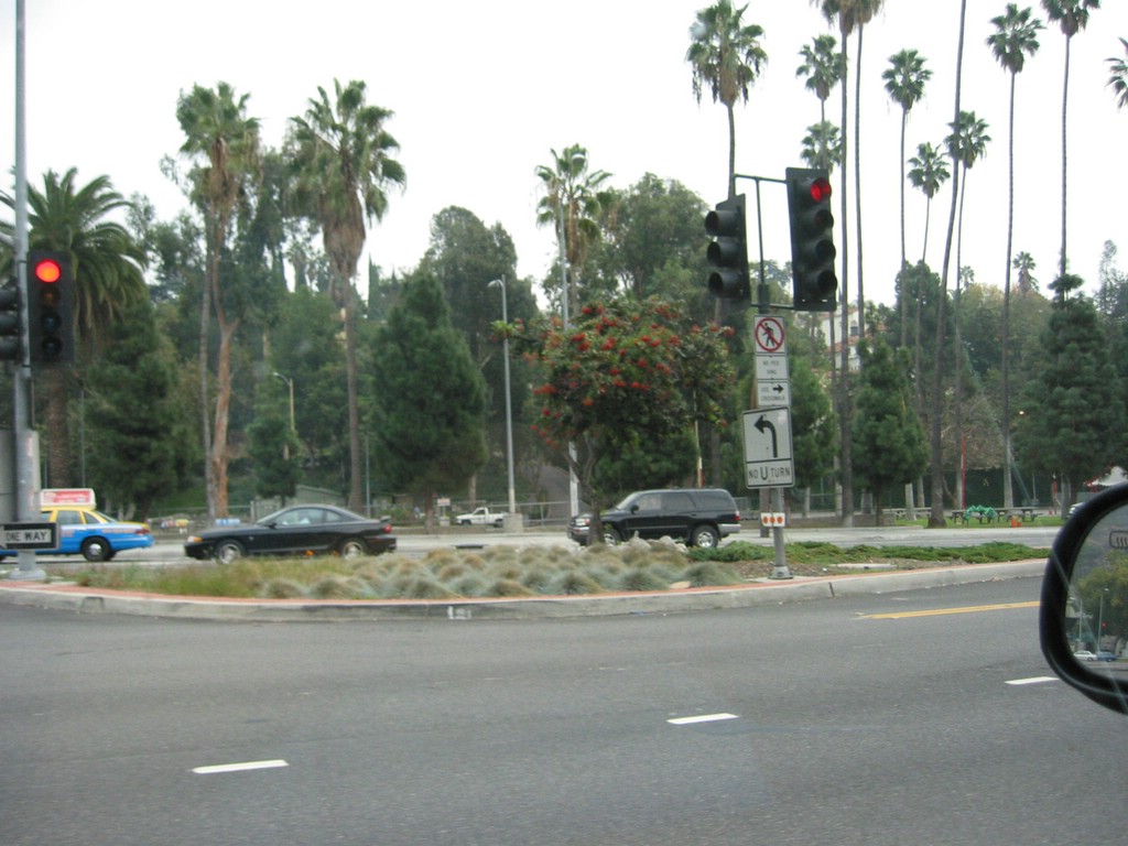 img_1350.jpg