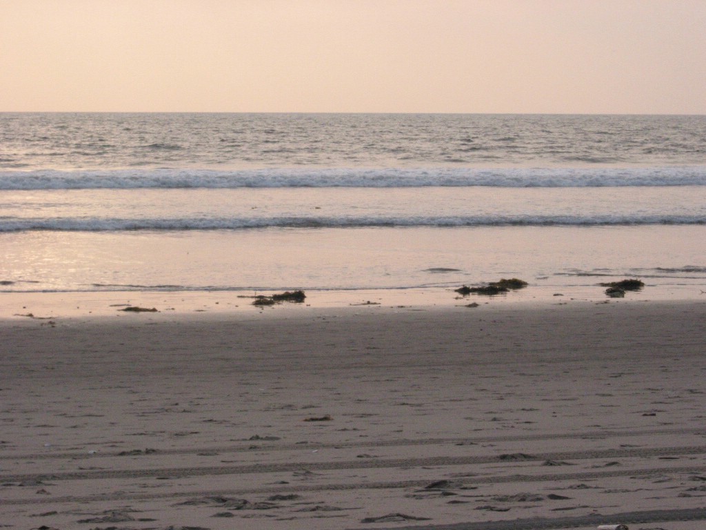 img_1376.jpg