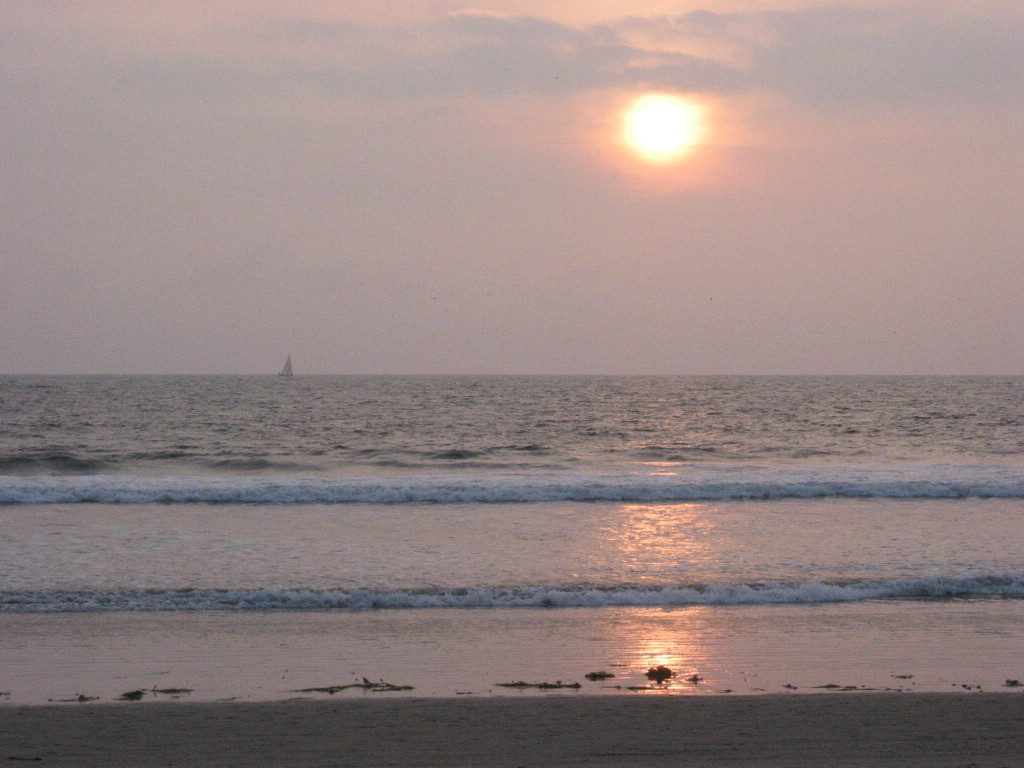img_1386.jpg