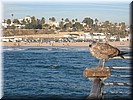 img_1271.jpg