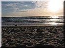 img_1290.jpg