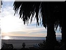 img_1295.jpg
