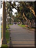 img_1300.jpg
