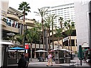 img_1362.jpg