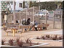 img_1372.jpg
