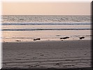 img_1376.jpg