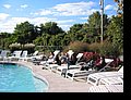 IMG_1154.JPG